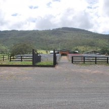 Arrival Yards Canungra