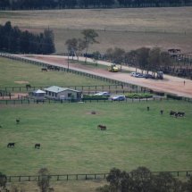 Foaling Unit Sandy Hollow