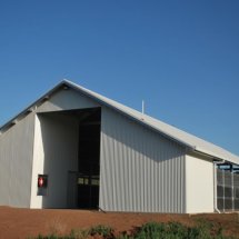 Yearling Mesh Yards Segenhoe Stud