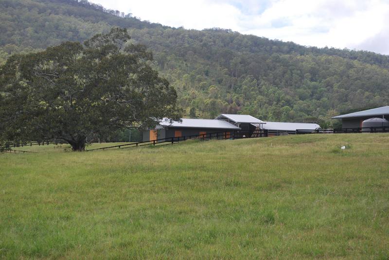 Stallion Barn Canungra