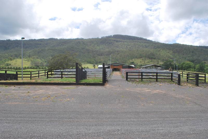 Arrival Yards Canungra