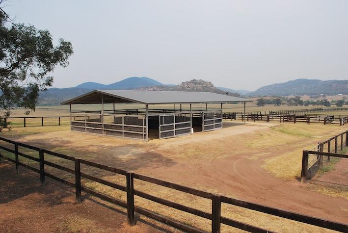 Quarantine Stables Sandy Hollow